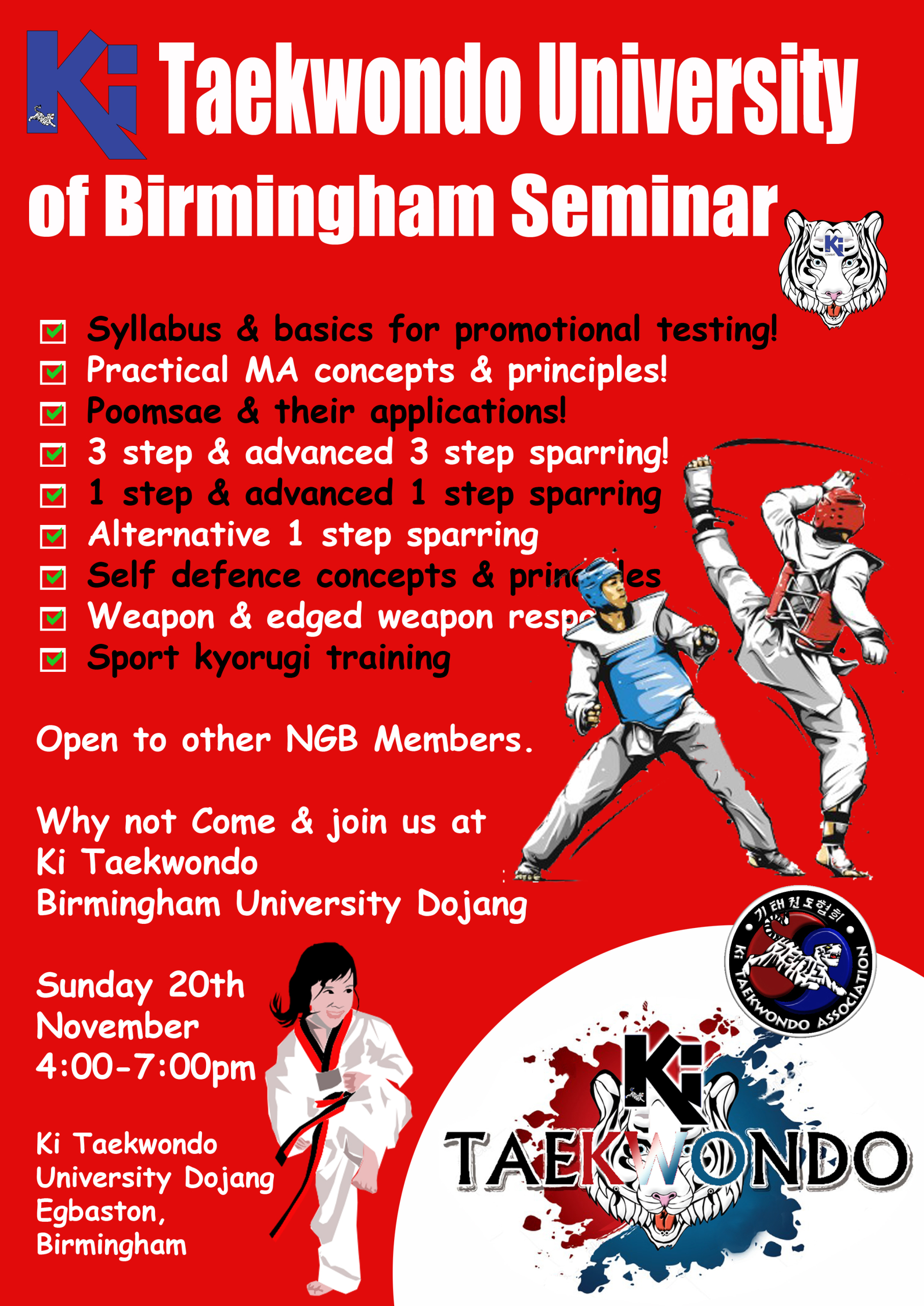 Ki Taekwondo University of Birmingham Seminar – Sunday 20th November 4pm 7pm scaled