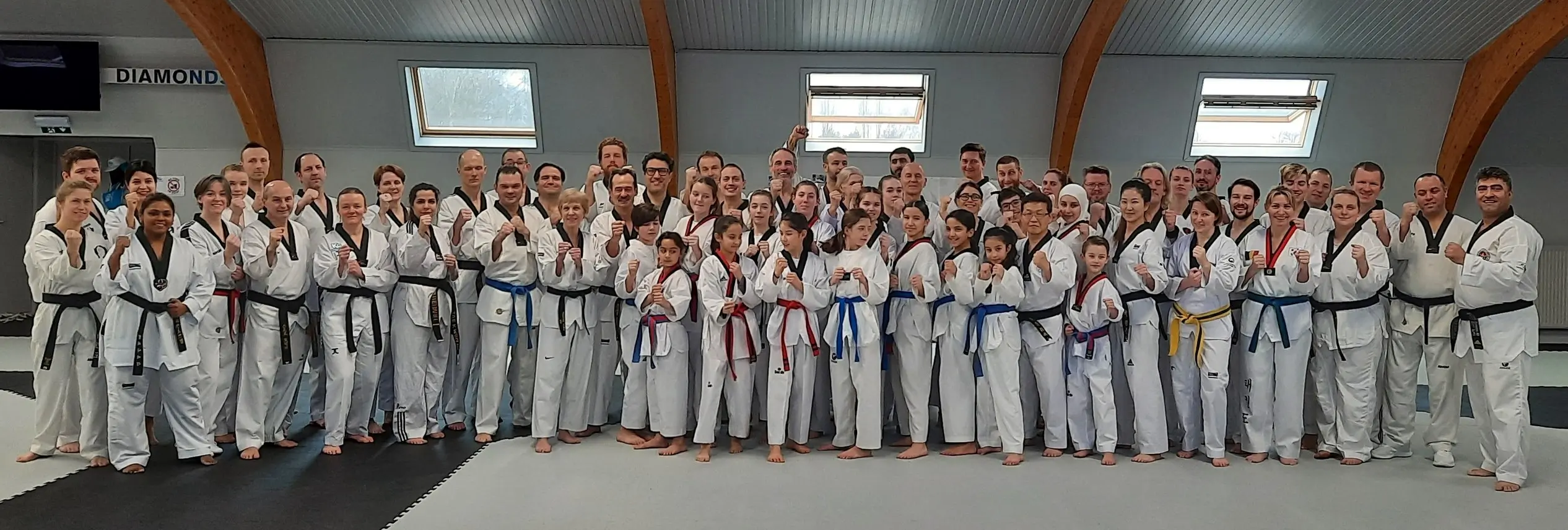 International Taekwondo seminar in Belgium 1