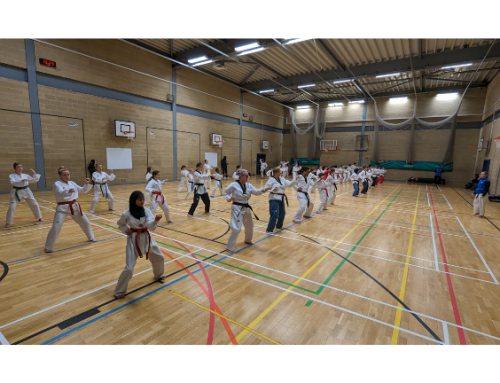 British Taekwondo South Regional Poomsae Seminar – Sunday 25th February