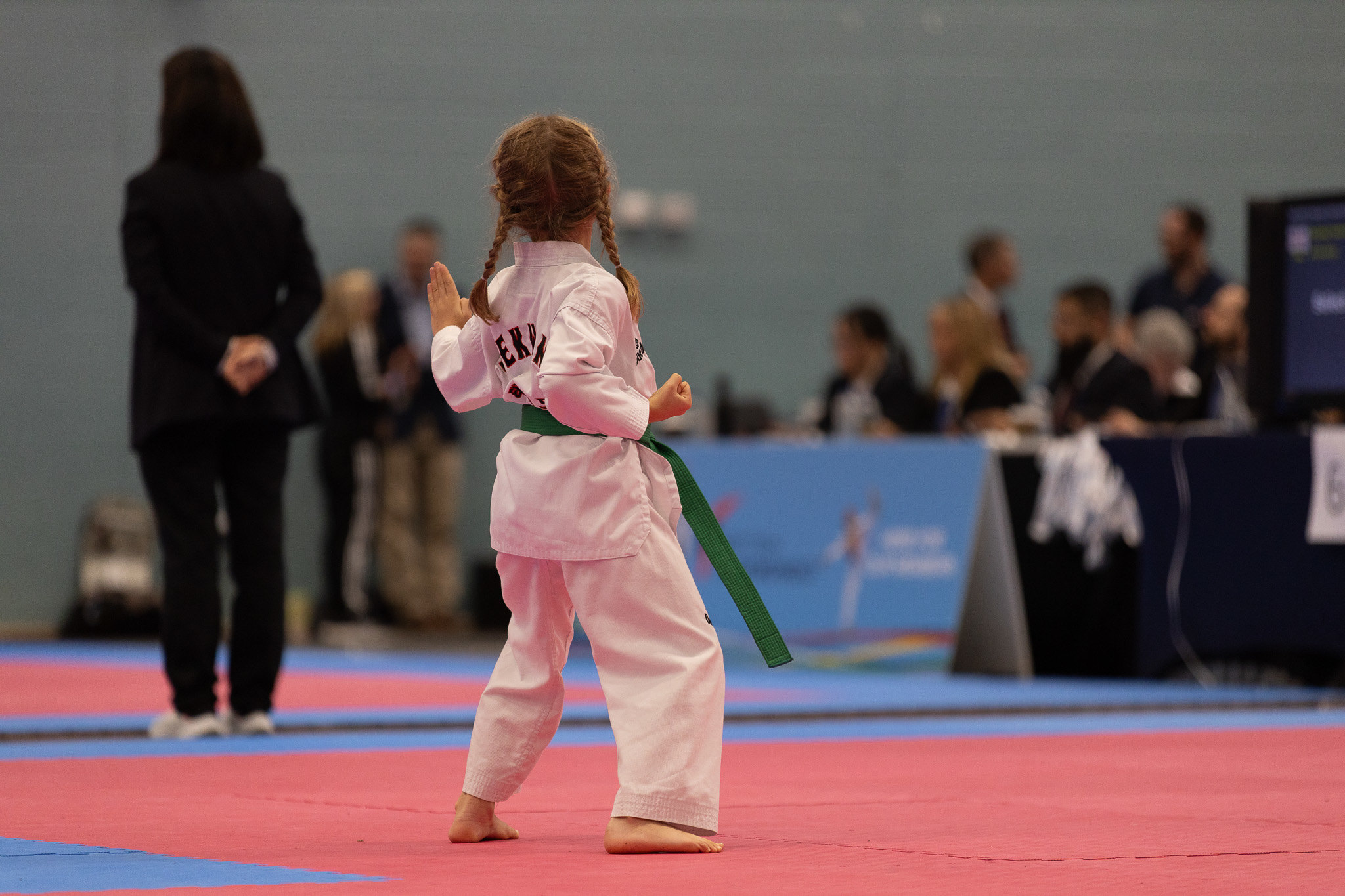 53664827890_f7ea9fc167_k Young girl with braided hair and green belt performs in a Taekwondo competition, back facing the camera.