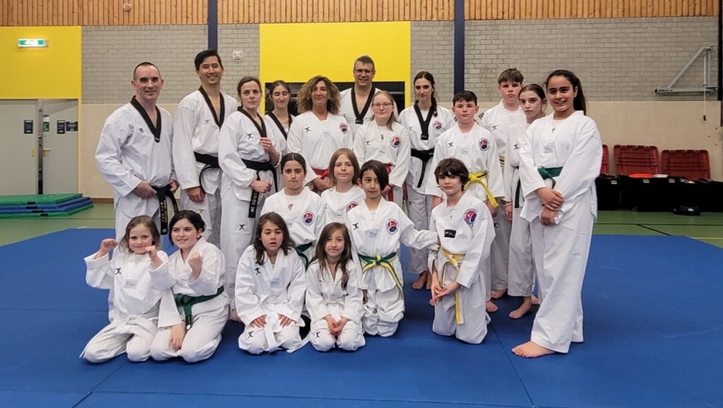 Phoenix Taekwondo Space Agency