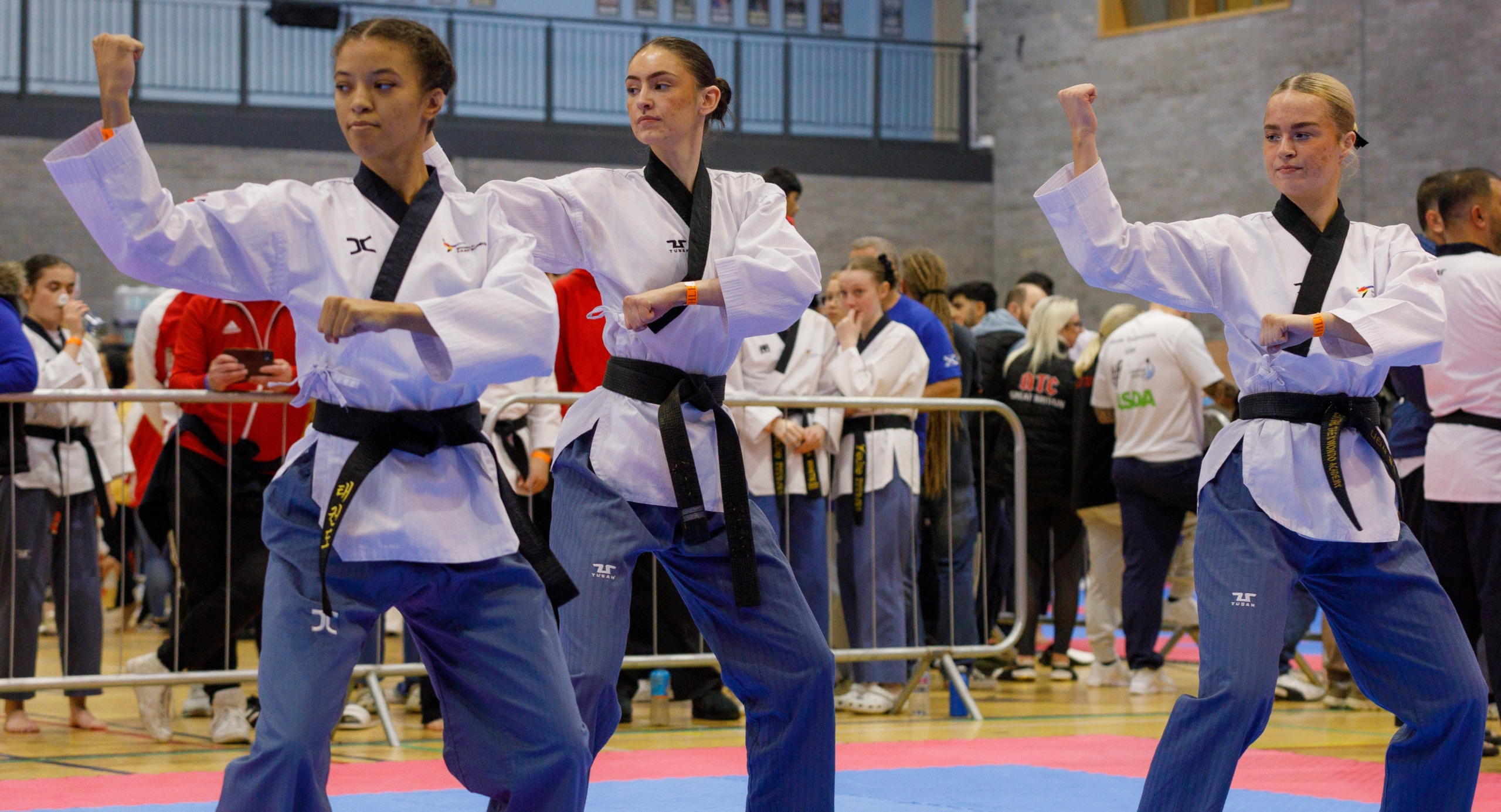 54137463485 825d8156c6 o 1 1 scaled