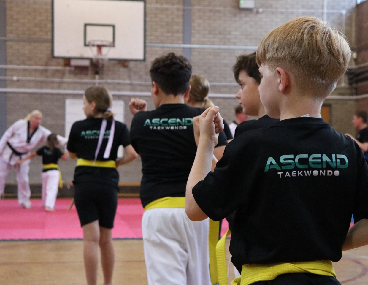 Ascend Taekwondo 1240