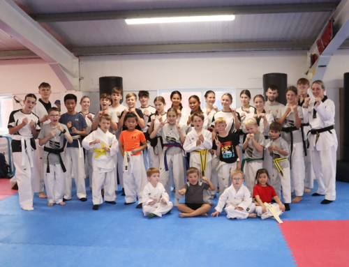 Gajok Taekwondo | Where Taekwondo Becomes Family