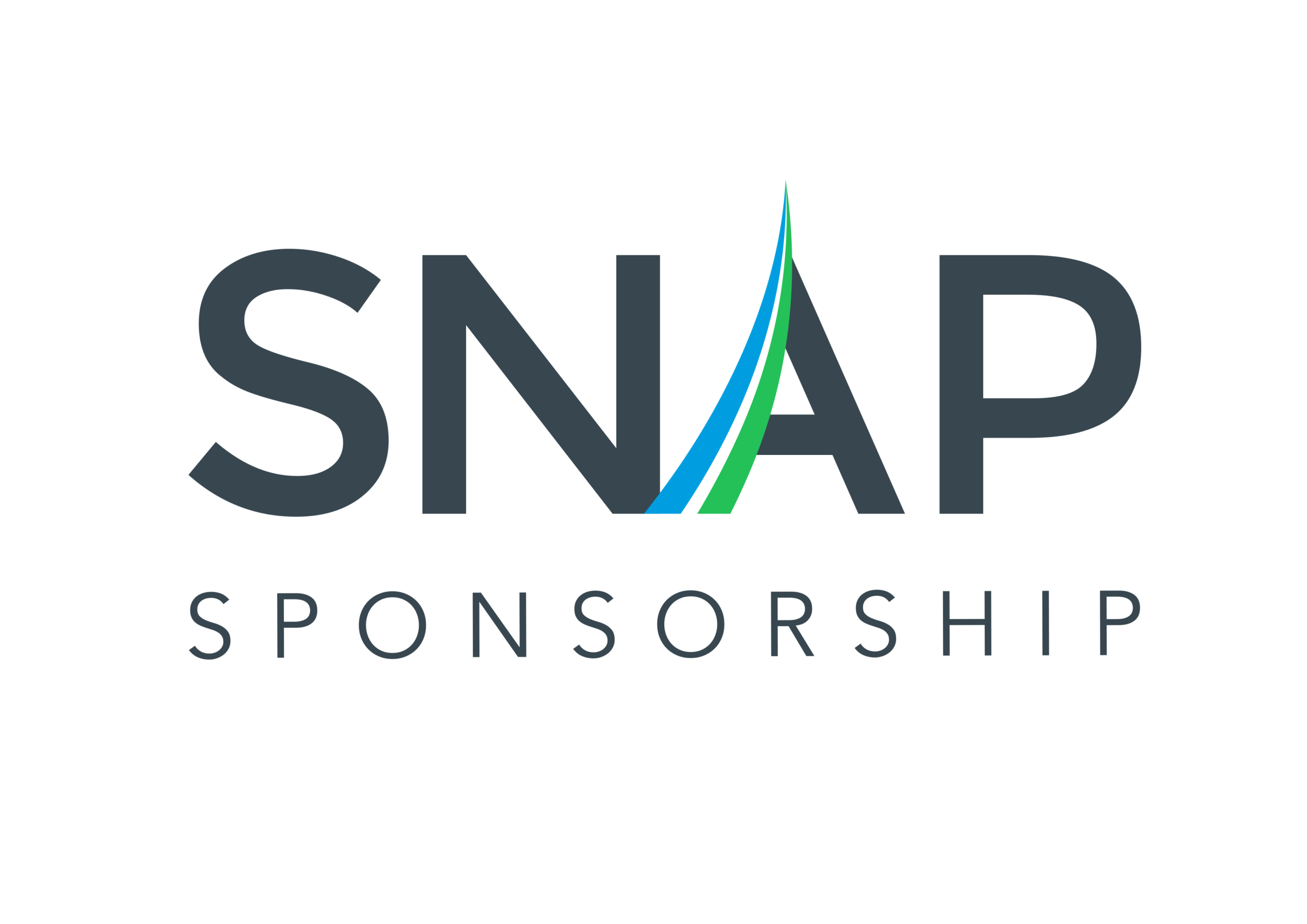 SNAP Grey Logo scaled
